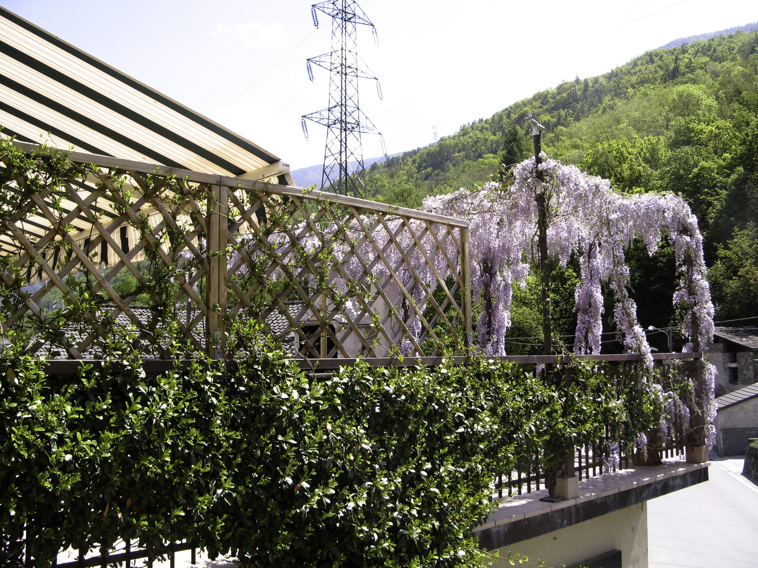 giardini pensili