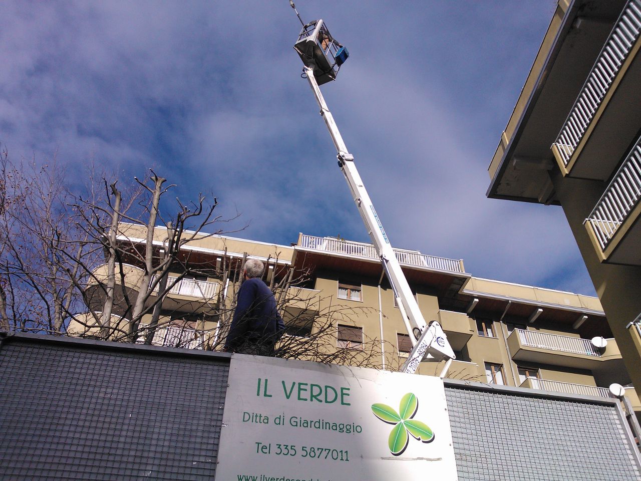 potatura abbattimento (23)