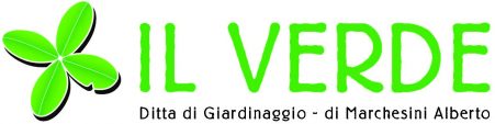 IL VERDE di Alberto Marchesini